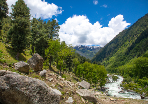 Wangath river in the mountain, Jammu and Kashmir, Kangan, India
