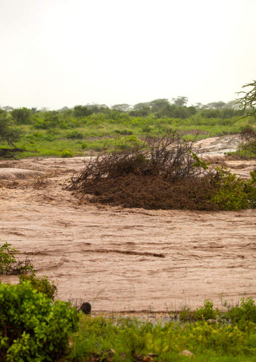 Flood caused by el Nino, Samburu County, Samburu National Reserve, Kenya