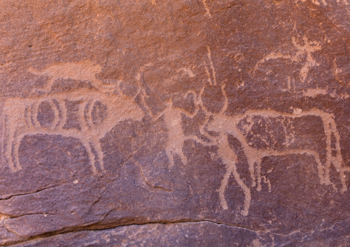 Petroglyphs on a rock depicting cows and men, Najran Province, Thar, Saudi Arabia