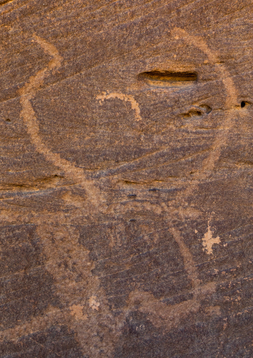 Petroglyphs on a rock depicting a cow head, Najran Province, Thar, Saudi Arabia
