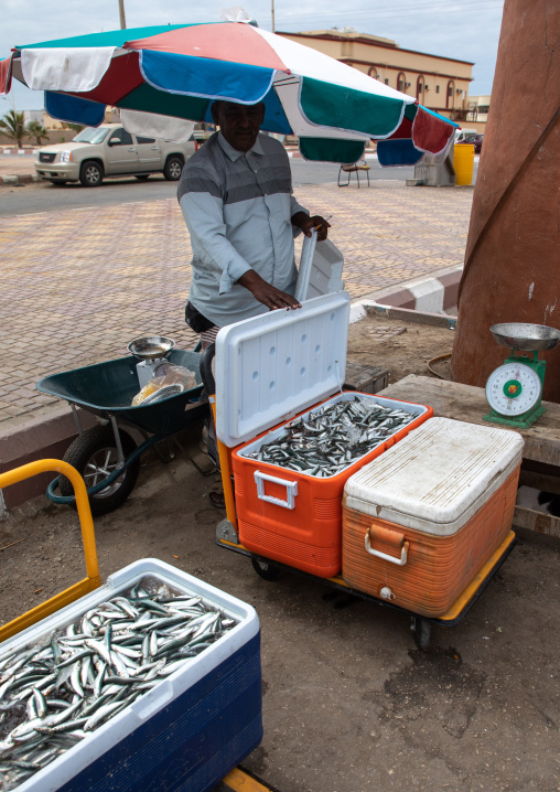 Farasani man selling sardines in the fish market, Jazan Province, Farasan, Saudi Arabia