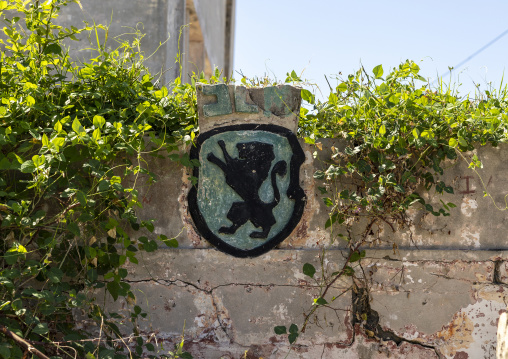 Sporting football club lion logo, Nampula Province, Island of Mozambique, Mozambique