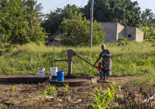Woman pumping water in a garden, Gaza Province, Chidenguele, Mozambique