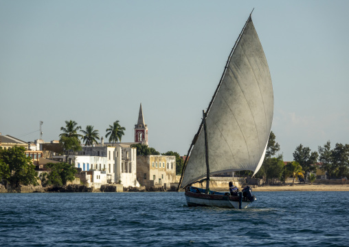Dhow sailing in front of Stone town, Nampula Province, Island of Mozambique, Mozambique