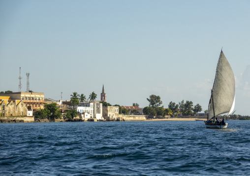 Dhow sailing in front of Stone town, Nampula Province, Island of Mozambique, Mozambique