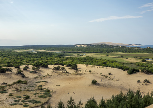 Sand dune in Bazaruto national park, Bazaruto archipelago, Bazaruto island, Mozambique