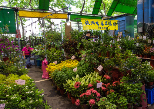Jianguo holiday flower market, Daan District, Taipei, Taiwan