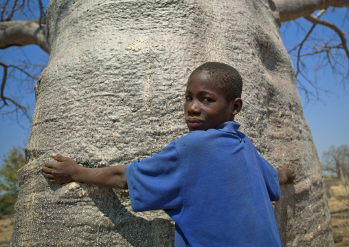 Boy With His Arms On A Baobab Tree, Angola