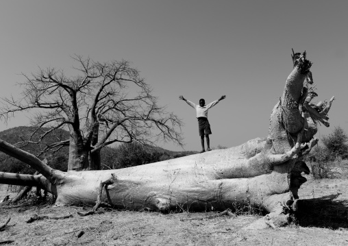 Boy With His Arms Up On The Trunk Of A Baobab Tree, Angola