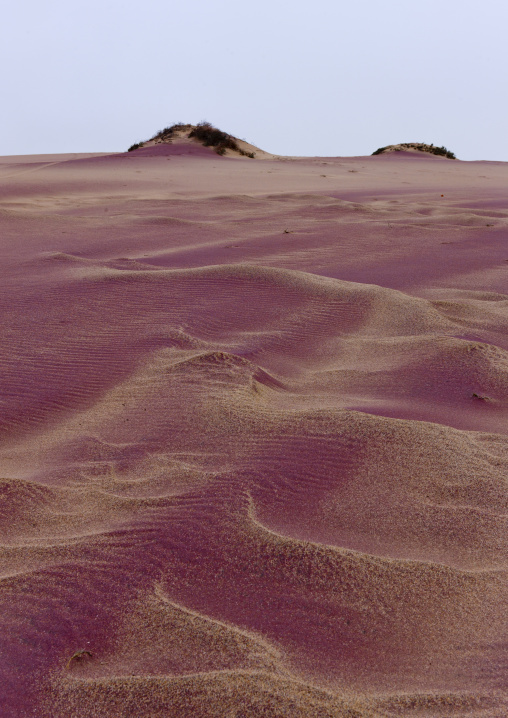 Pink Sand In The Namib Desert, Iona National Park, Angola