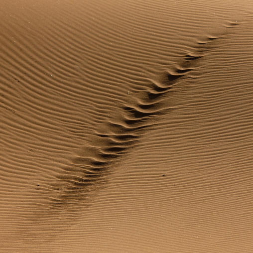 Car Tracks In The Sand Of The Namib Desert, Iona National Park, Angola