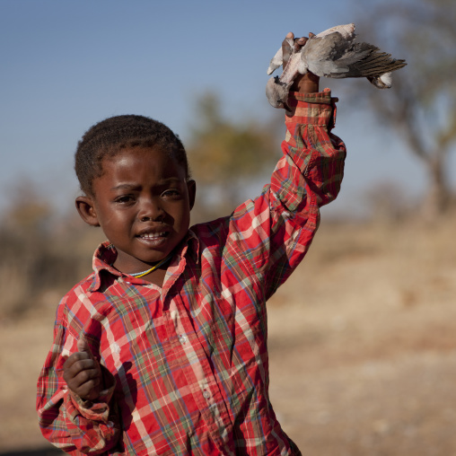 Mucawna Boy Waving A Bird He Caught, Village Of Oncocua, Angola