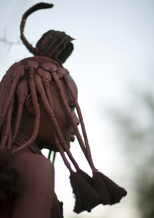 Himba Woman With Traditional Hairstyle, Village Of Oncocua, Angola