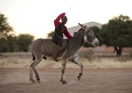Boy Riding A Donkey In The Village Of Oncocua, Angola