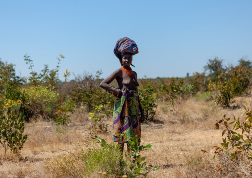Mumuhuila tribe woman in the bush carrying bag on her head, Huila Province, Chibia, Angola