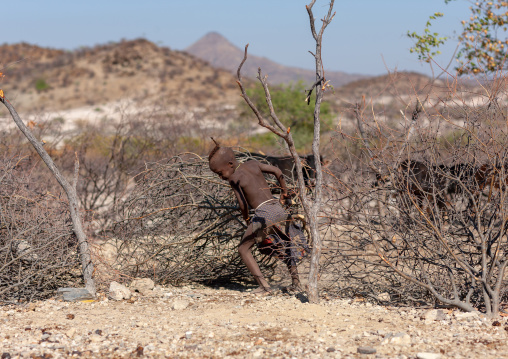 Himba tribe boy putting a fence for the cattle, Cunene Province, Oncocua, Angola