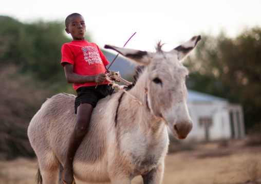 Mudimba tribe boy riding a donkey, Cunene Province, Oncocua, Angola
