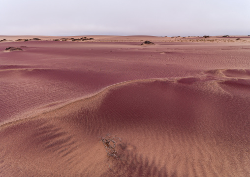 Pink sand in the namib desert, Namibe Province, Iona National Park, Angola