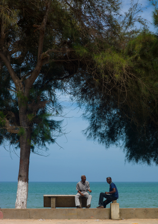 Angolan men having a chat on the seaside under a tree, Benguela Province, Benguela, Angola