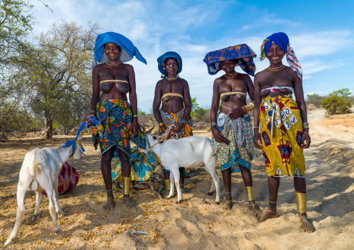 Mucubal tribe women going to market with goats, Namibe Province, Virei, Angola