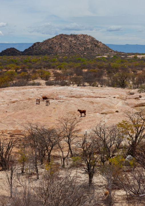 Tchitundo Hulo hills landscape, Namibe Province, Capolopopo, Angola