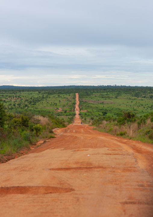 Dirt road in the bush, Huambo Province, Huambo, Angola