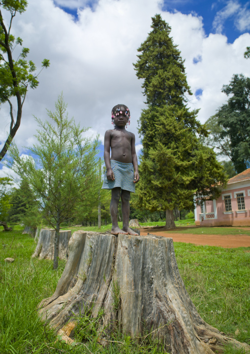 Young Girl With Plaits Standing On A Tree Stump, Angola