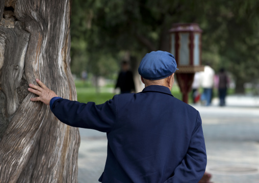 Chinese Man Touching An Old Tree, Beijing China