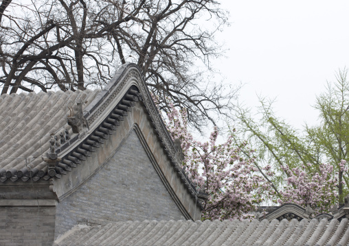 Old House Roof In A Hutong, Beijing, China