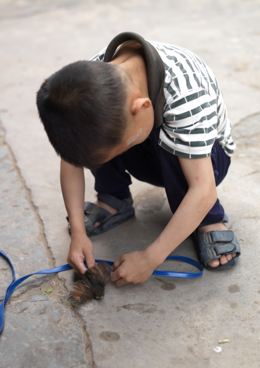 Kid Playing With A Bird, Tuan Shan Village, Yunnan Province, China