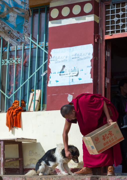 tibetan Monk with a dog in Shachong monastery, Qinghai Province, Wayaotai, China