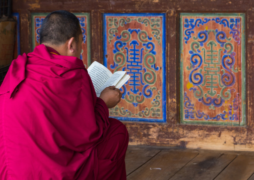 Tibetan monk reading in Shachong monastery, Qinghai Province, Wayaotai, China