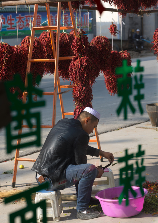 Muslim man cutting fresh chillies, Tongren County, Rebkong, China