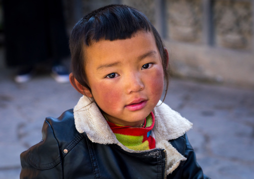 Portrait of a tibetan nomad boy with his cheeks reddened by the harsh weather in Rongwo monastery, Tongren County, Longwu, China