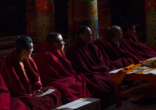 Monks praying and meditating inside Longwu monastery, Tongren County, Longwu, China