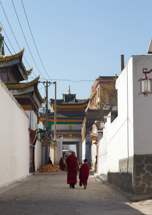 Tibetan monks walking in the street of Rongwo monastery, Tongren County, Longwu, China