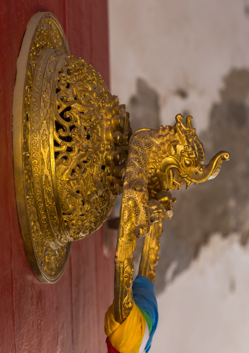 Ornate knocker on traditional buddhist door temple in Rongwo monastery, Tongren County, Longwu, China