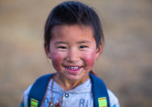 Portrait of a smiling tibetan nomad boy with his cheeks reddened by the harsh weather, Qinghai province, Tsekhog, China