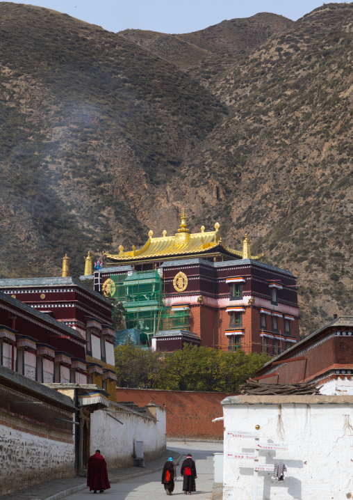 Monastery buildings built in the traditional tibetan style, Gansu province, Labrang, China