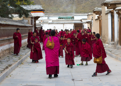 Tibetan monks coming out of the school in Labrang monastery, Gansu province, Labrang, China