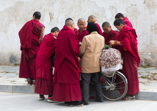 Young monks buying candies and food to a hui woman seller, Gansu province, Labrang, China