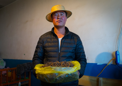 Hui man seller with a bag full of caterpillar fungus costing thousands of dollars, Qinghai province, Sogzong, China