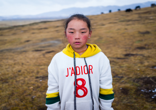 Portrait of a tibetan nomad girl with her cheeks reddened by the harsh weather, Qinghai province, Sogzong, China