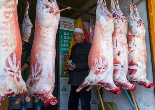 Butcher shop displaying fresh meat, Gansu province, Linxia, China