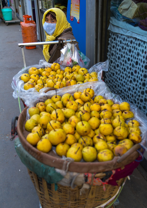 Hui woman selling yellow apples in the street, Gansu province, Lanzhou, China