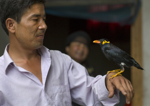 Man Holding A Mynah Bird, Keriya, Old Town, Xinjiang Uyghur Autonomous Region, China