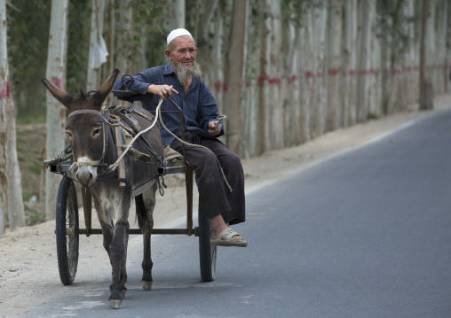Old Uyghur Man Driving His Donkey, Hotan, Xinjiang Uyghur Autonomous Region, China