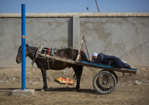 Old Uyghur Man Sleeping In His Cart, Serik Buya Market, Yarkand, Xinjiang Uyghur Autonomous Region, China