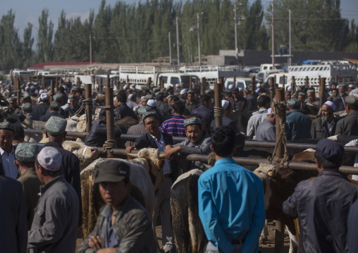 Uyghur Men In Kashgar Animal Market, Xinjiang Uyghur Autonomous Region, China