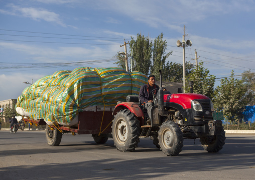 Uyghur Man Transporting Cotton, Yarkand, Serik Buya Market, Xinjiang Uyghur Autonomous Region, China